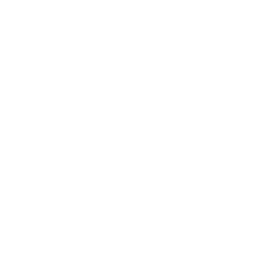 Signature icon