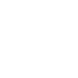 Connections icon