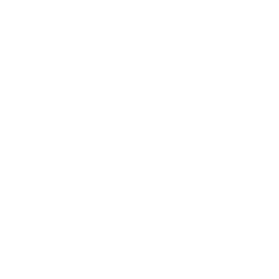 Signature icon